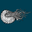 The Nautilus logo